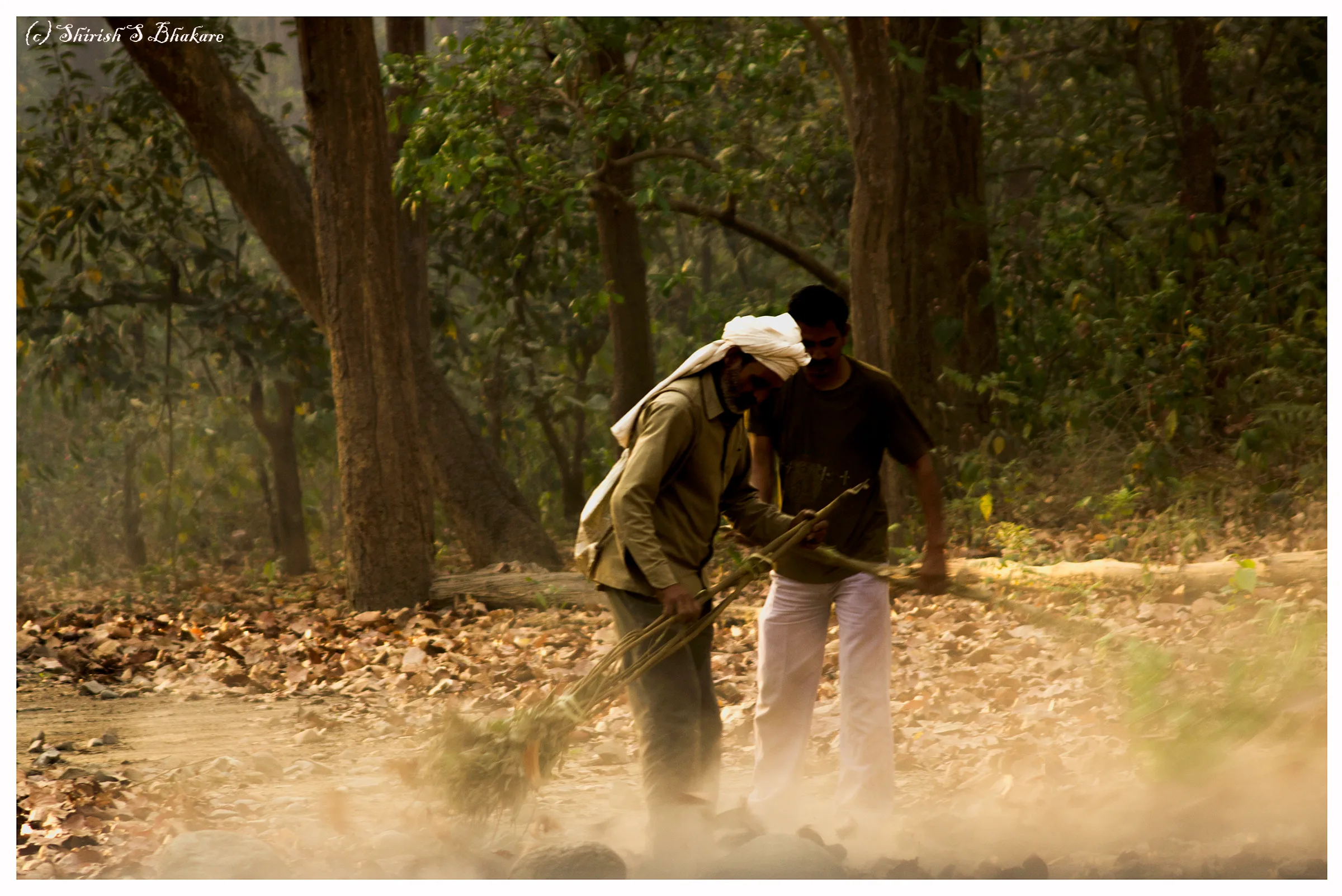 forest workers 1